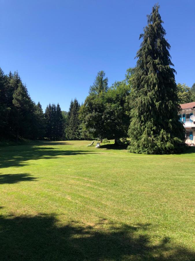 Agriturismo La Casa Nel Bosco Boveglio Buitenkant foto