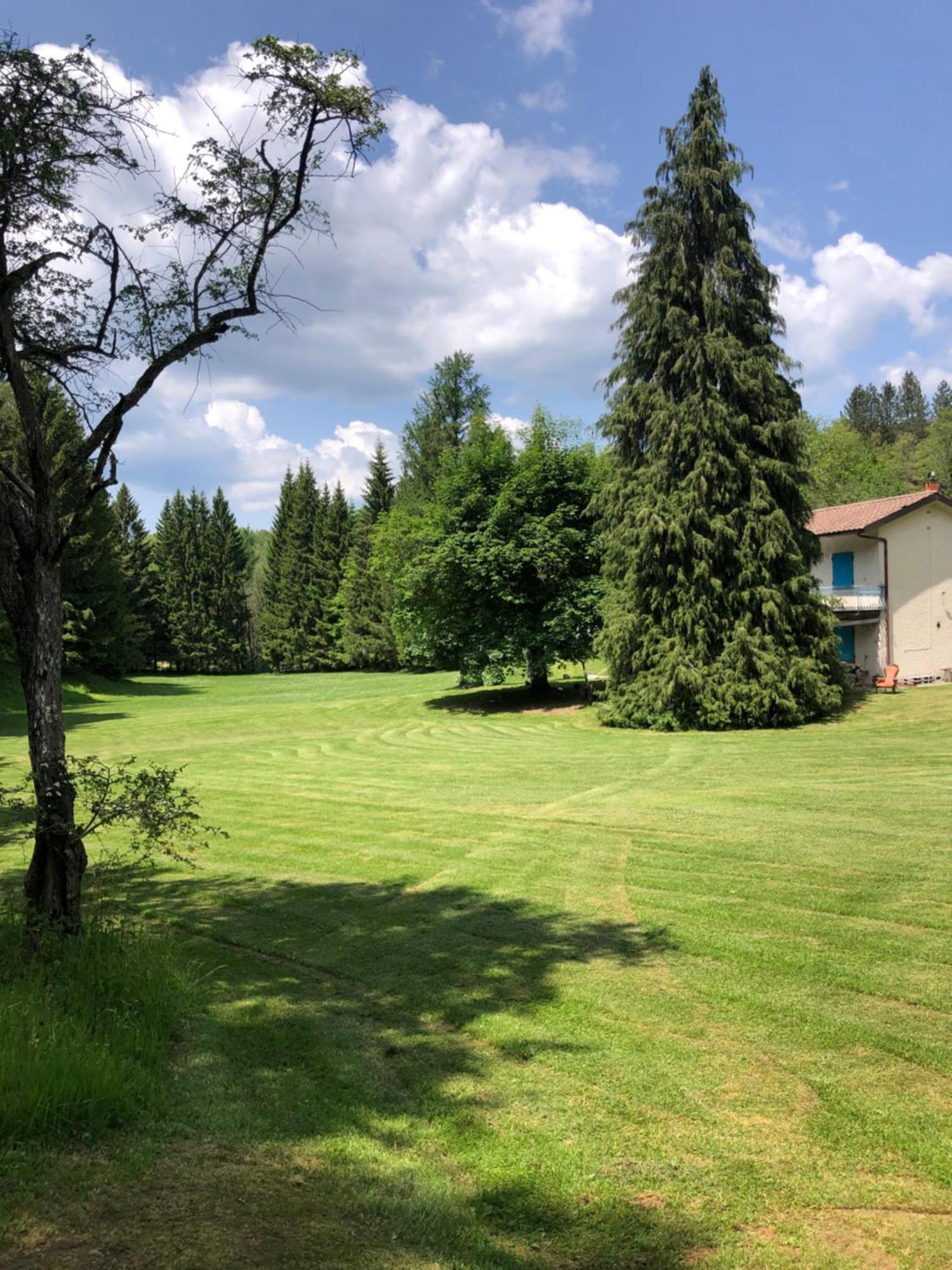 Agriturismo La Casa Nel Bosco Boveglio Buitenkant foto
