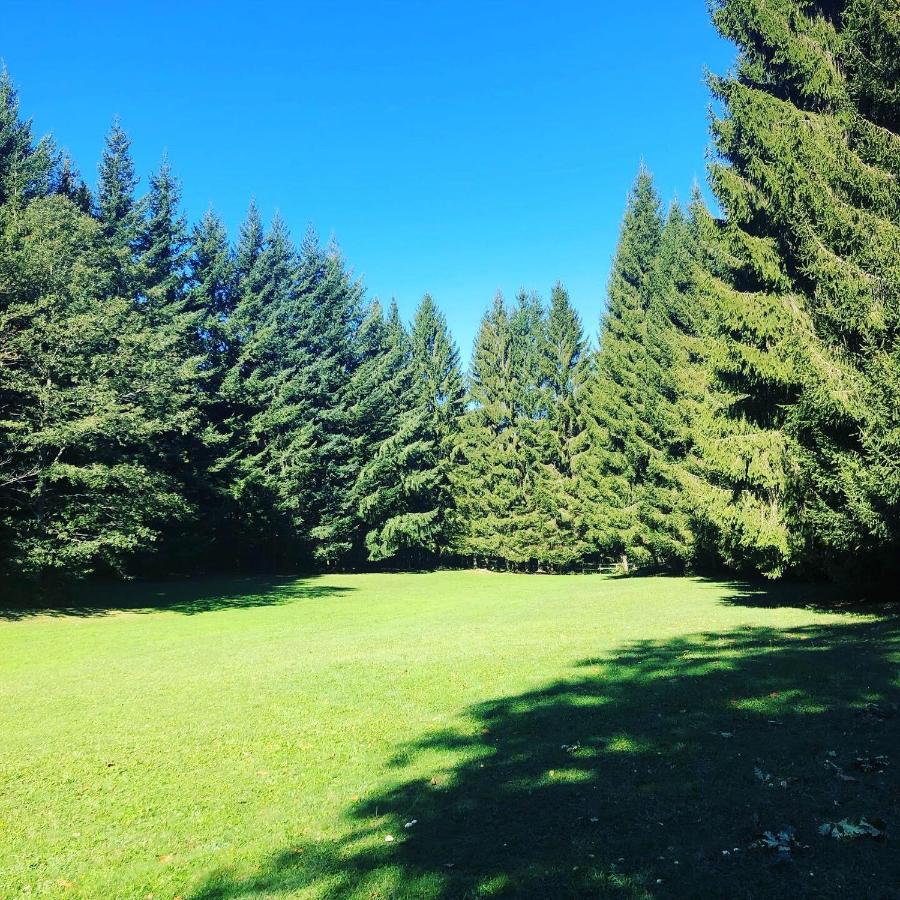 Agriturismo La Casa Nel Bosco Boveglio Buitenkant foto