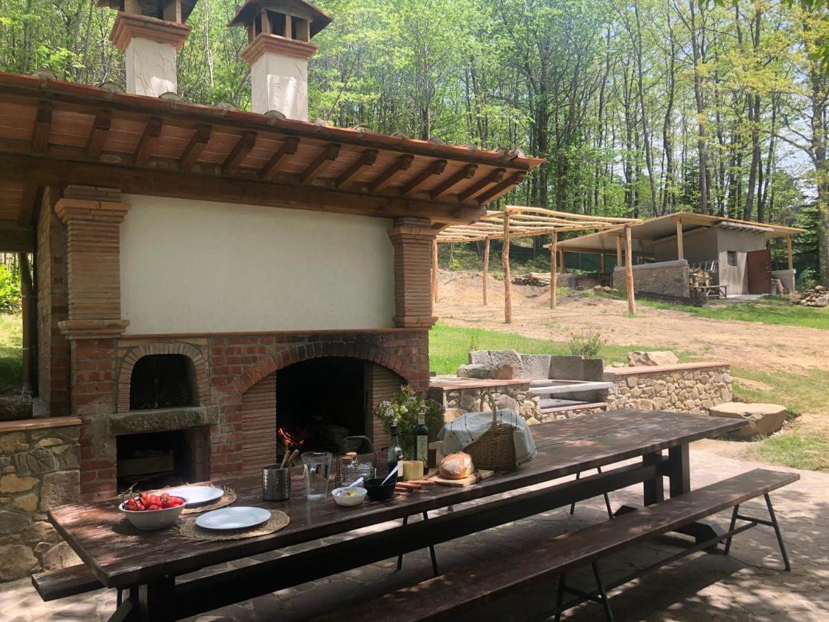 Agriturismo La Casa Nel Bosco Boveglio Buitenkant foto